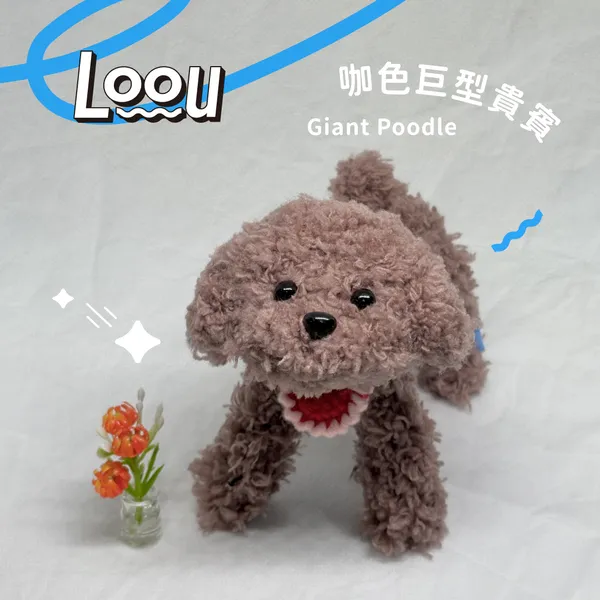 咖色巨型貴賓 Giant Poodle #018