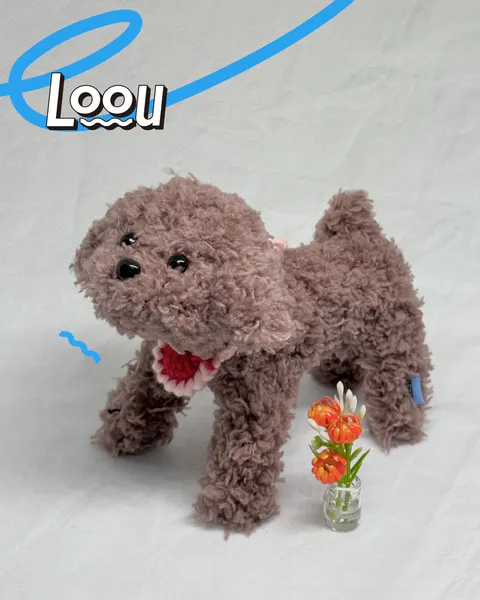 咖色巨型貴賓 Giant Poodle #018 2